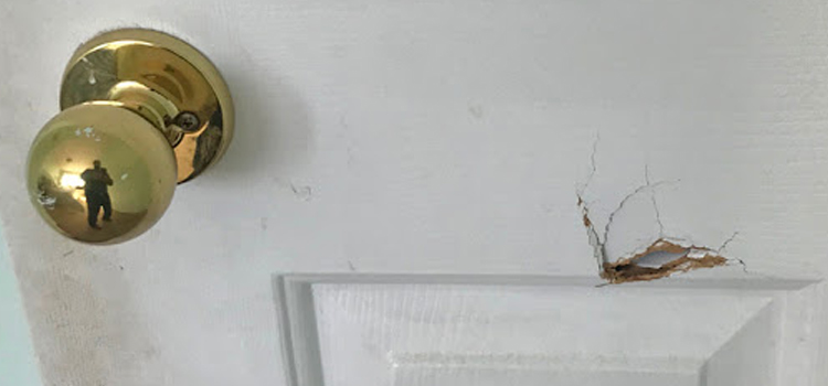 interior door hole repair Strawberry